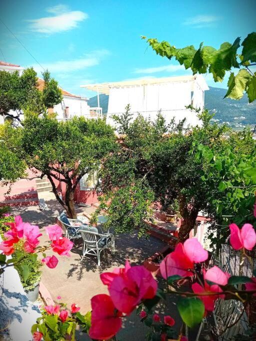 Duka'S Gardenhouse Vila Skopelos Town Exterior foto